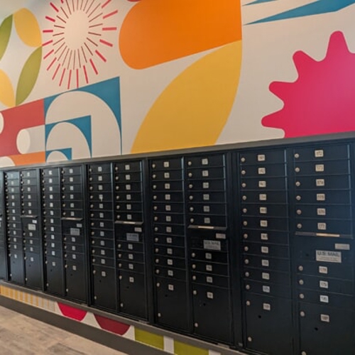Vinyl Wall Graphics